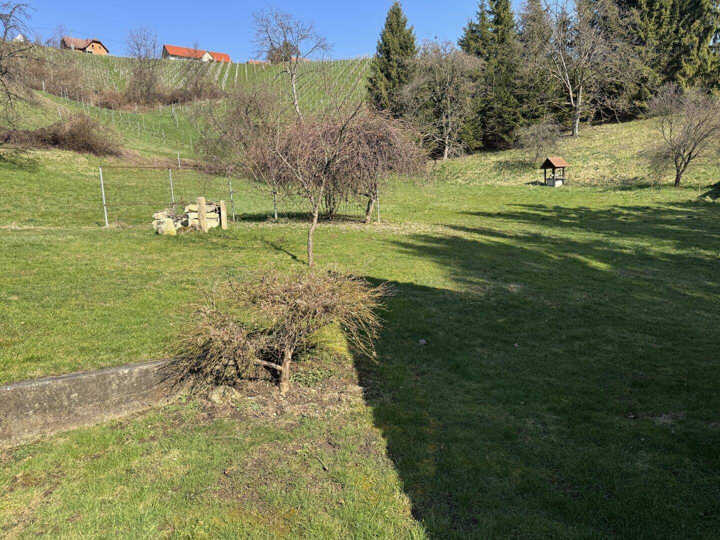 Weitläufiger Gartenbereich mit Rasenfläche, Bäumen und Blick auf die umliegende Landschaft.