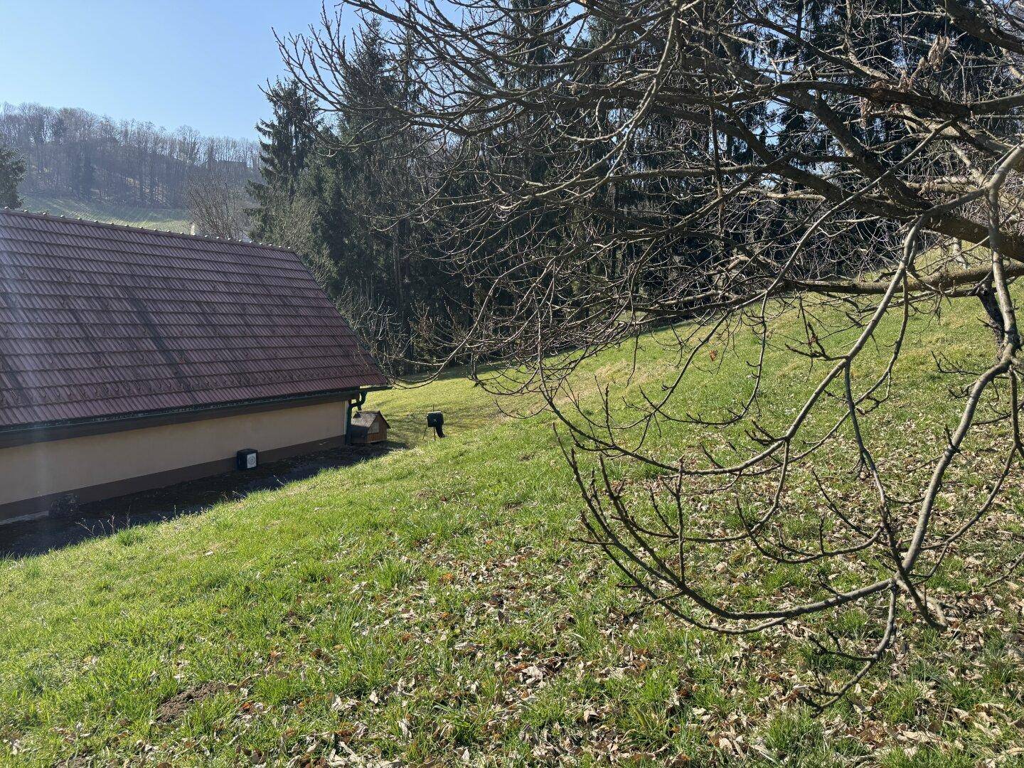 Hanglage des Grundstücks mit Rasen und Bäumen, angrenzend an Waldgebiet.