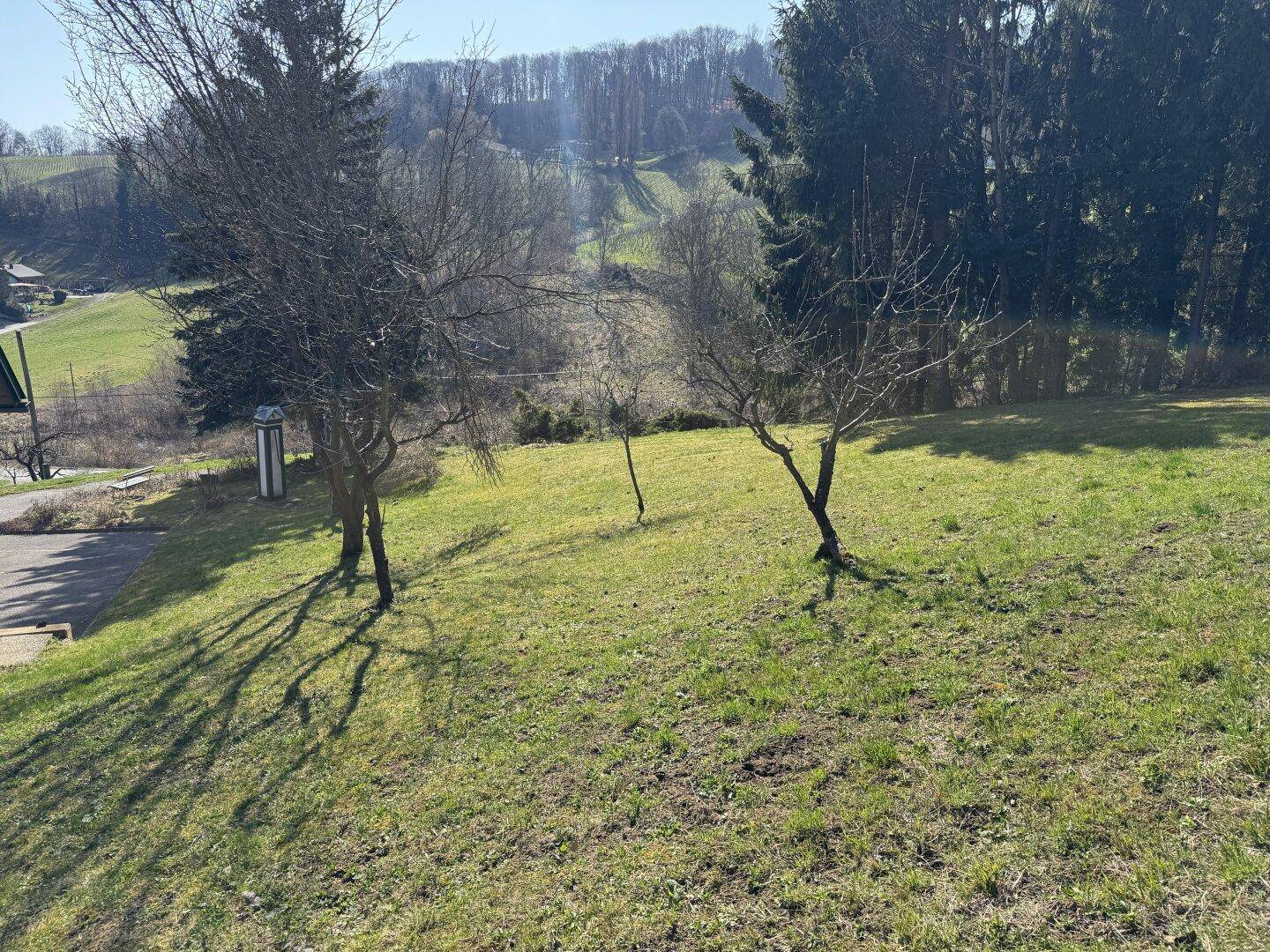 Sonniger Gartenbereich mit jungen Bäumen und weitem Blick über die Hügellandschaft.
