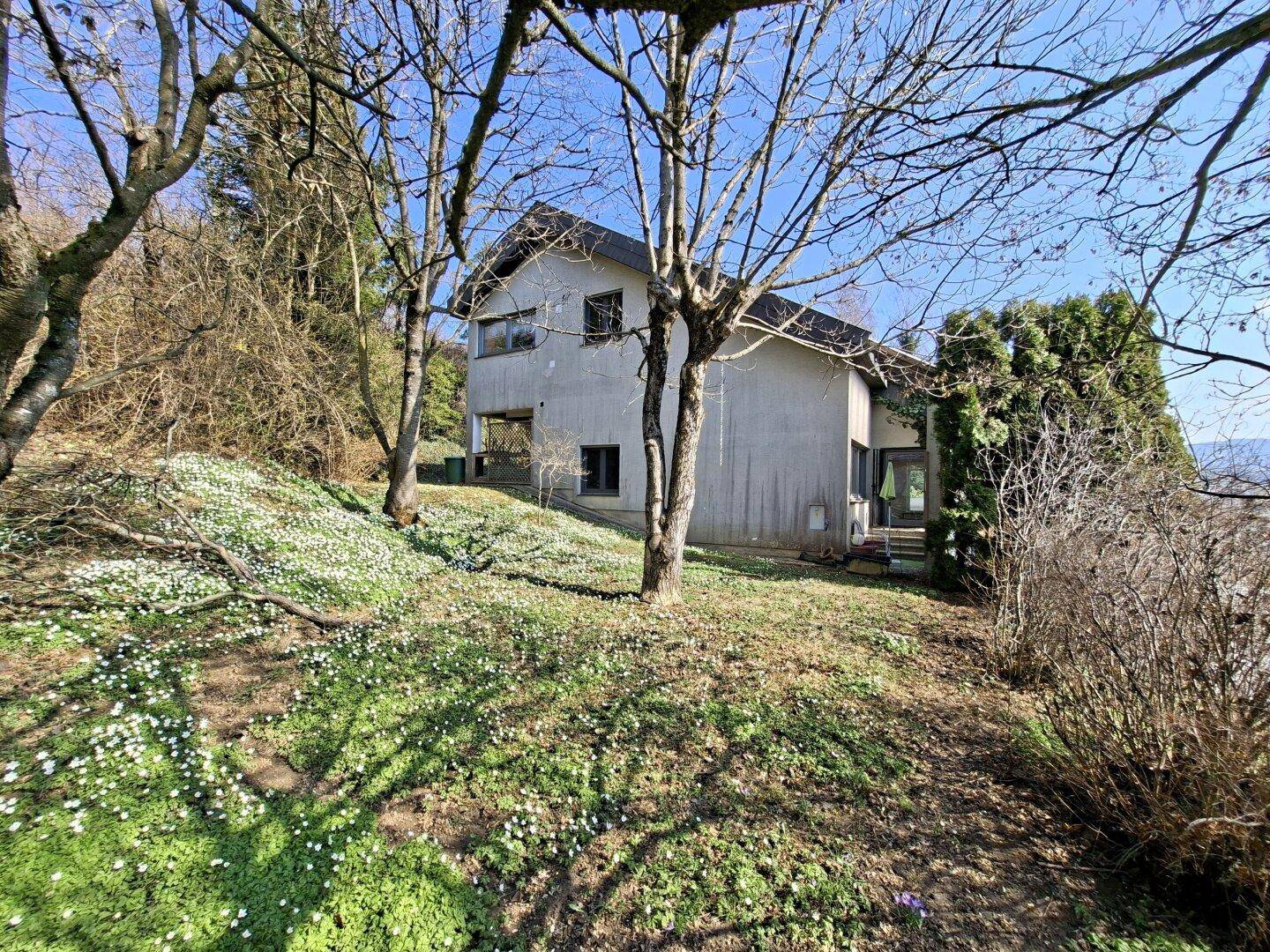 Modernes Wohnparadies - Architekten-Haus in toller Aussichtslage - Ansicht 2