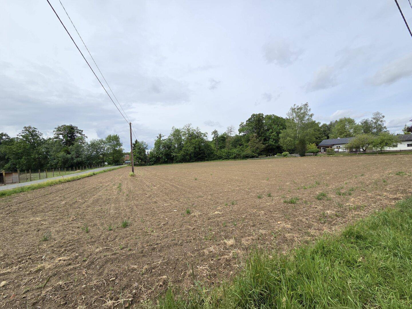 Blick über ein weites Feld mit Bäumen, einer Straße und einem Haus in der Ferne.