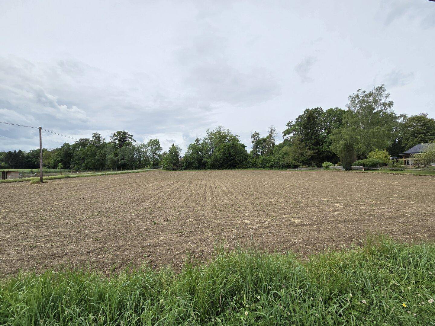 Panoramablick über ein weites, brachliegendes Feld mit Waldrand und einem Haus am Horizont.