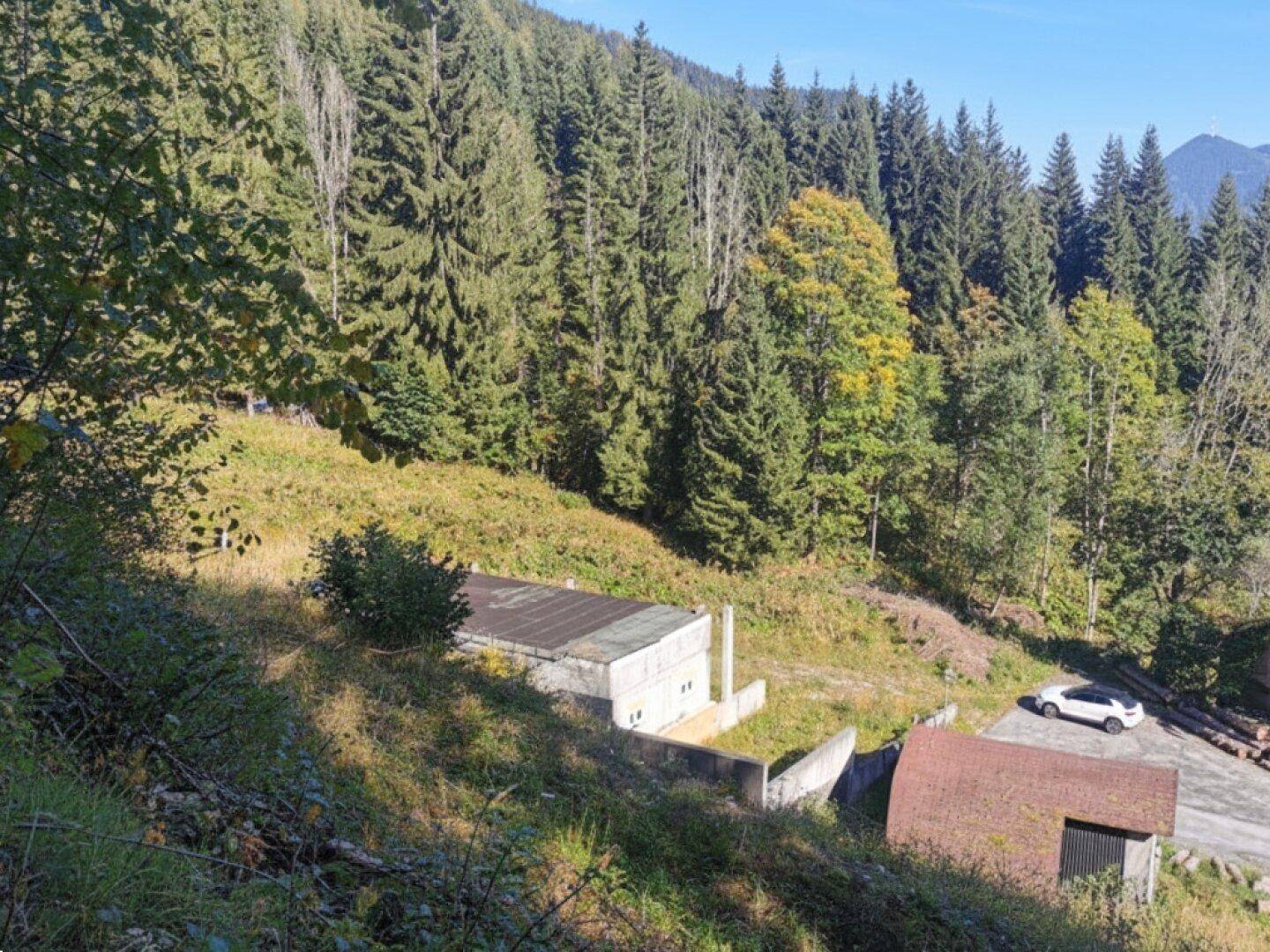 Gebäude in Hanglage, umgeben von Wald und grüner Vegetation, mit einem Auto im Hintergrund.