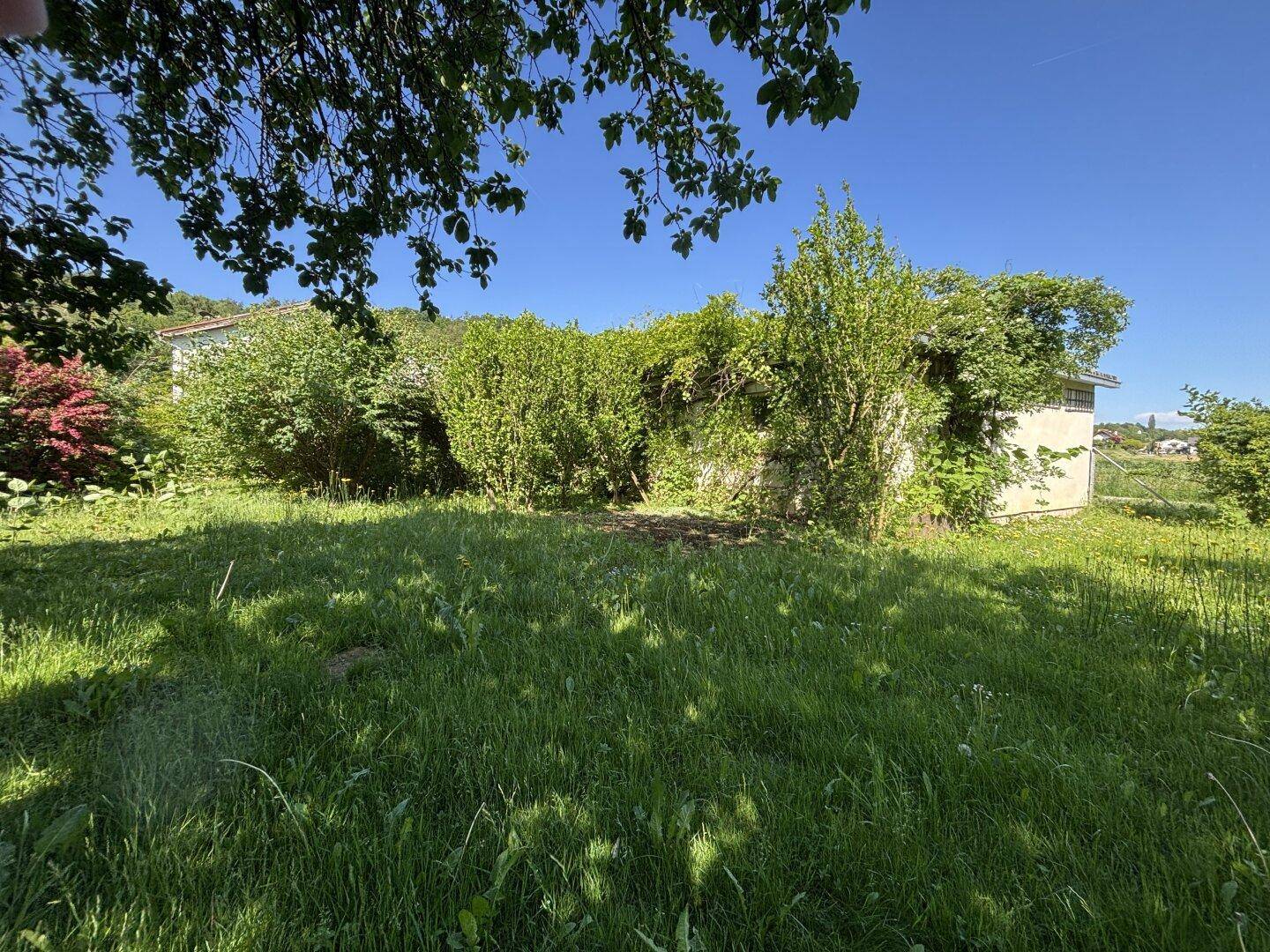 Weitläufiger Gartenbereich mit Rasen, Hecken und Bäumen, bietet viel Platz im Freien.