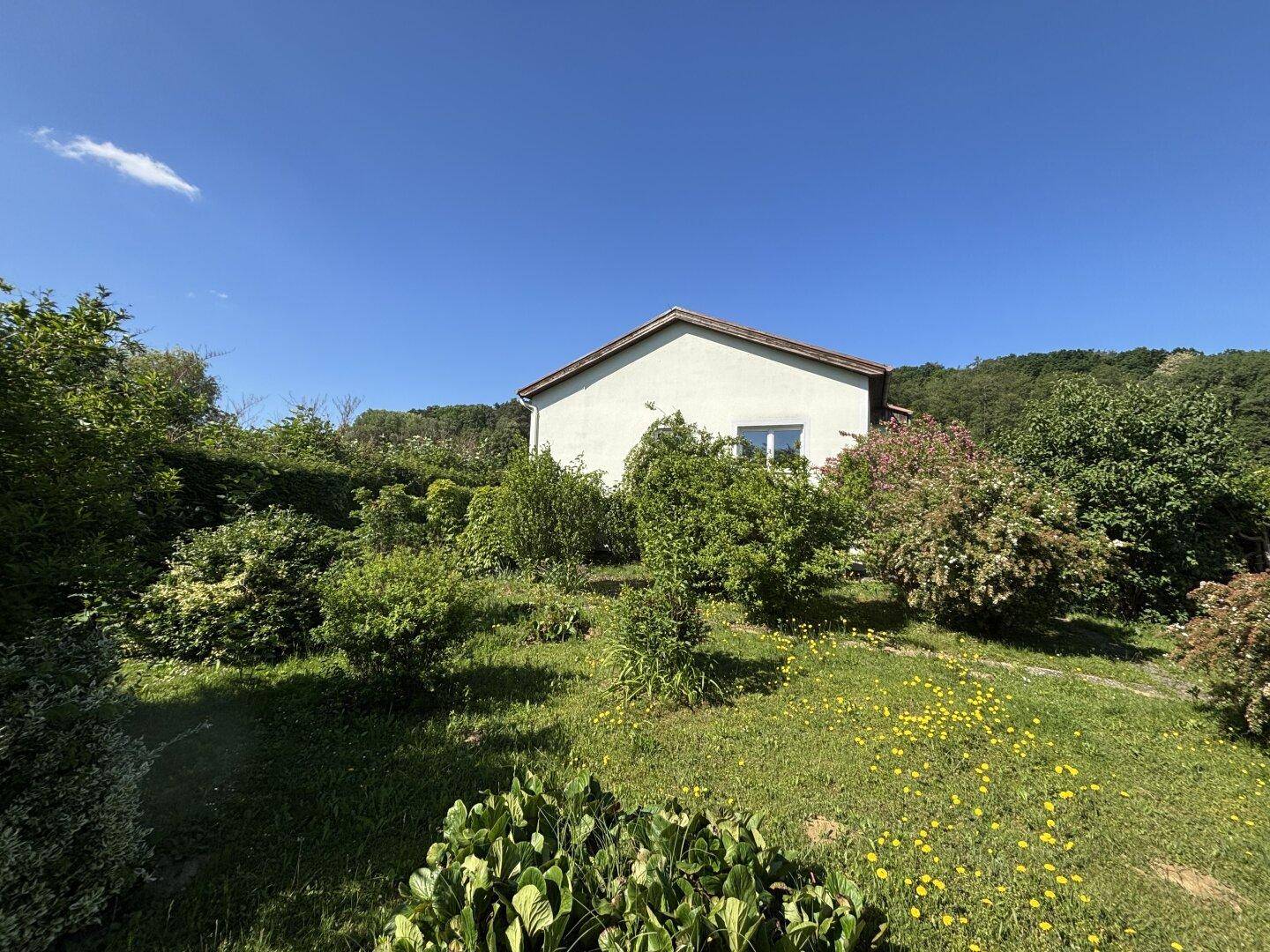 Großer Garten mit Rasenfläche, verschiedenen Sträuchern und Bäumen unter blauem Himmel.