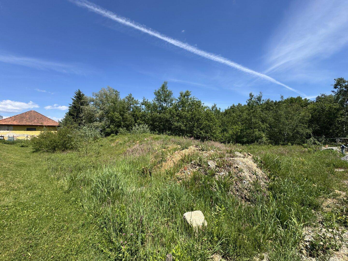 Grünes Grundstück mit unebenem Gelände und Bäumen im Hintergrund unter klarem Himmel.