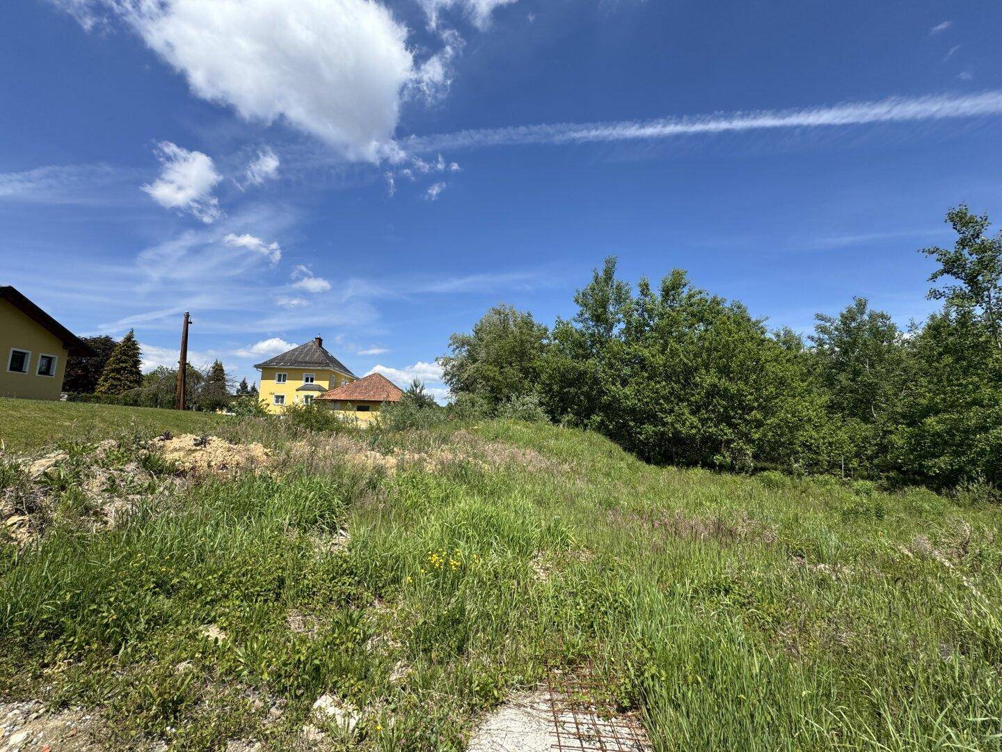 Weitläufiges, grünes Grundstück mit hohem Gras und Blick auf umliegende Häuser und Bäume.
