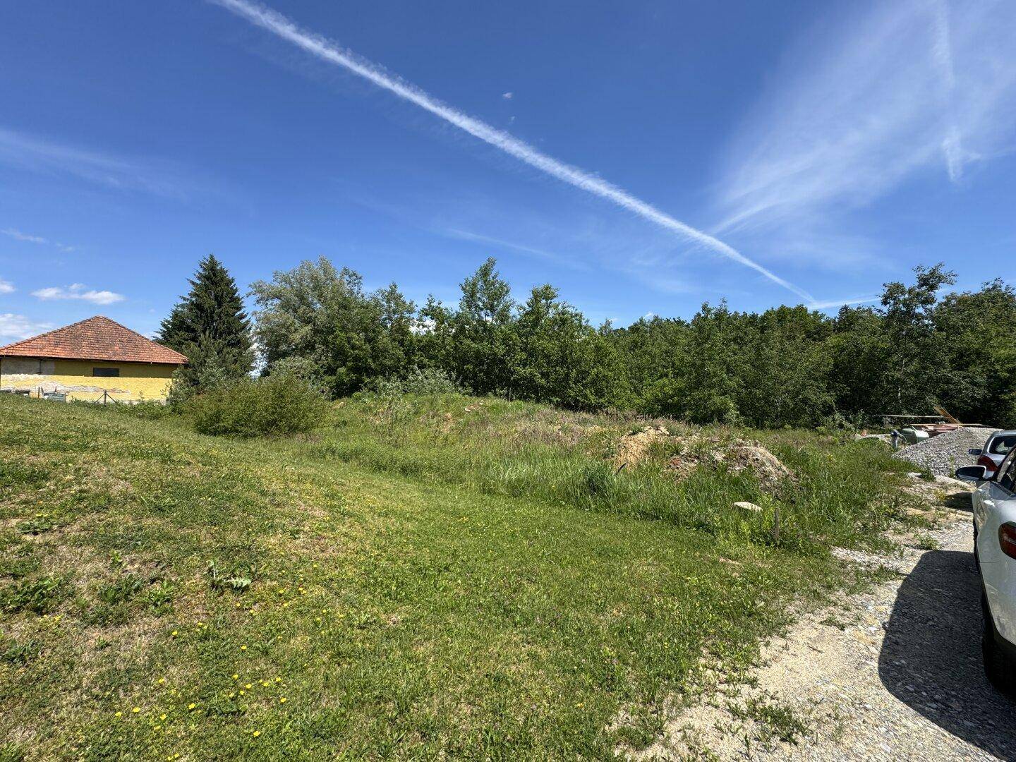 Blick über ein grünes Grundstück mit hohem Gras und Bäumen im Hintergrund unter blauem Himmel.