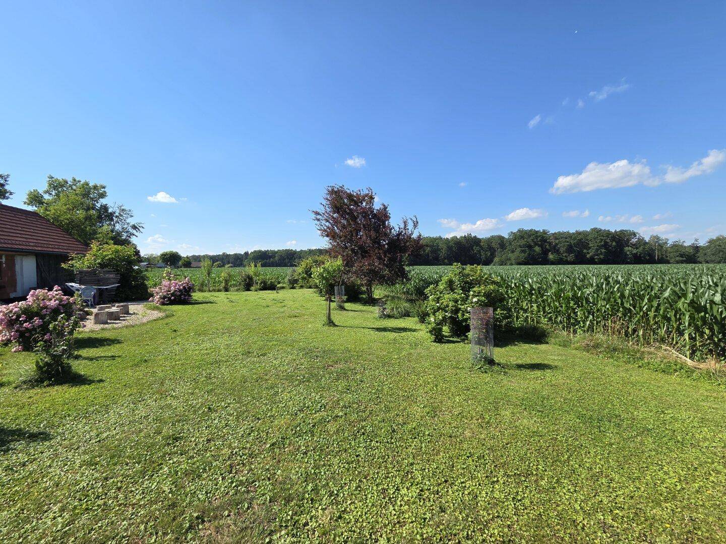 Großer, gepflegter Garten mit Rasen und weitem Blick auf angrenzende Felder.