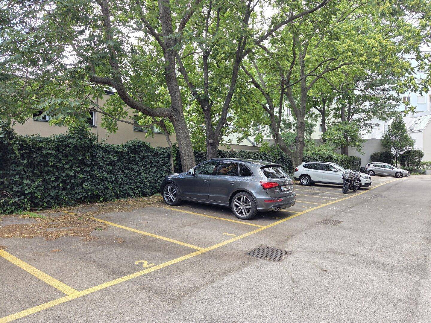 Offene Parkplätze im Freien mit Bäumen und Hecken, gut zugänglich.