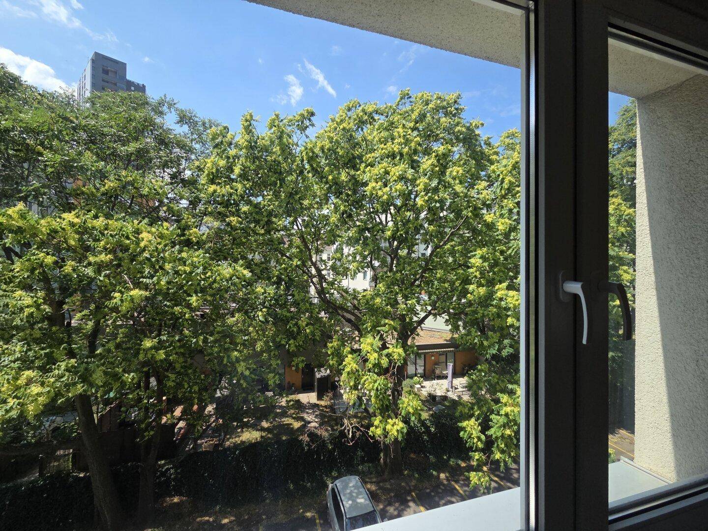 Blick aus dem Fenster auf grüne Bäume und umliegende Gebäude unter blauem Himmel.