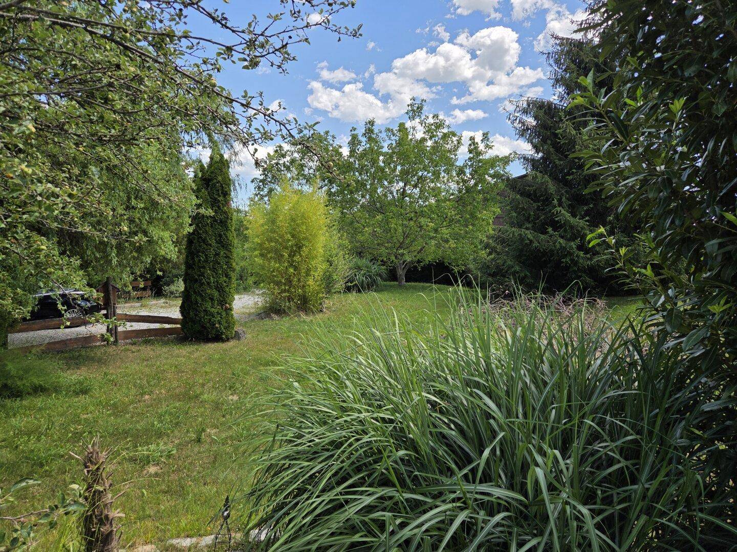 Weitläufiger Garten mit vielfältiger Bepflanzung, Rasenflächen und hohen Bäumen.