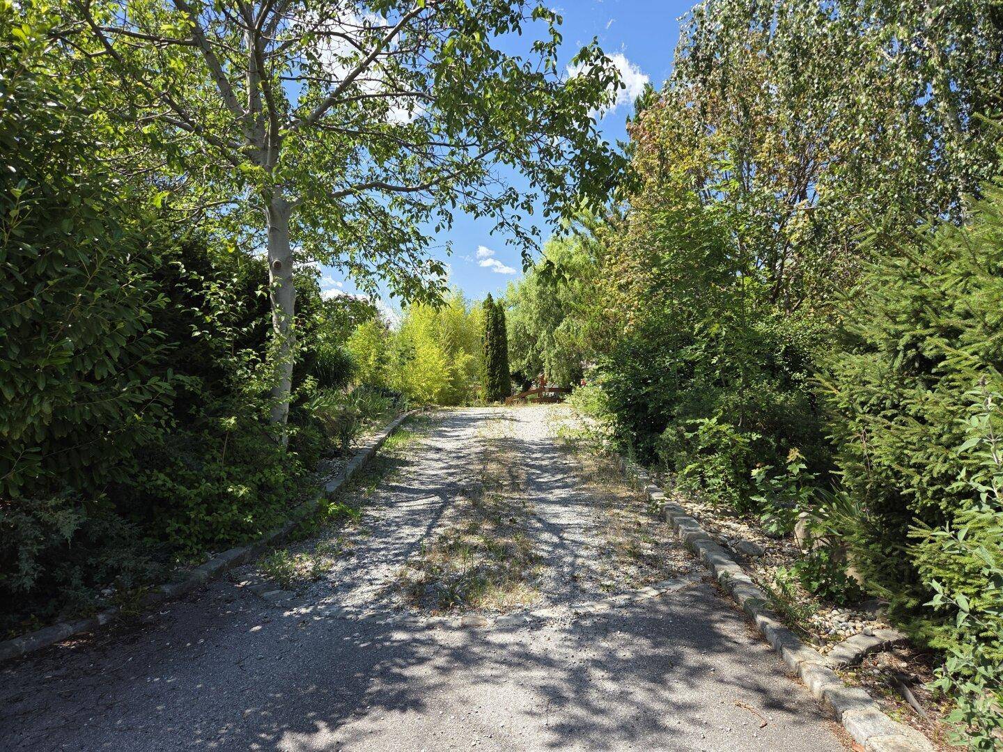 Langer Kiesweg umgeben von Bäumen und Sträuchern, führt zum Anwesen.