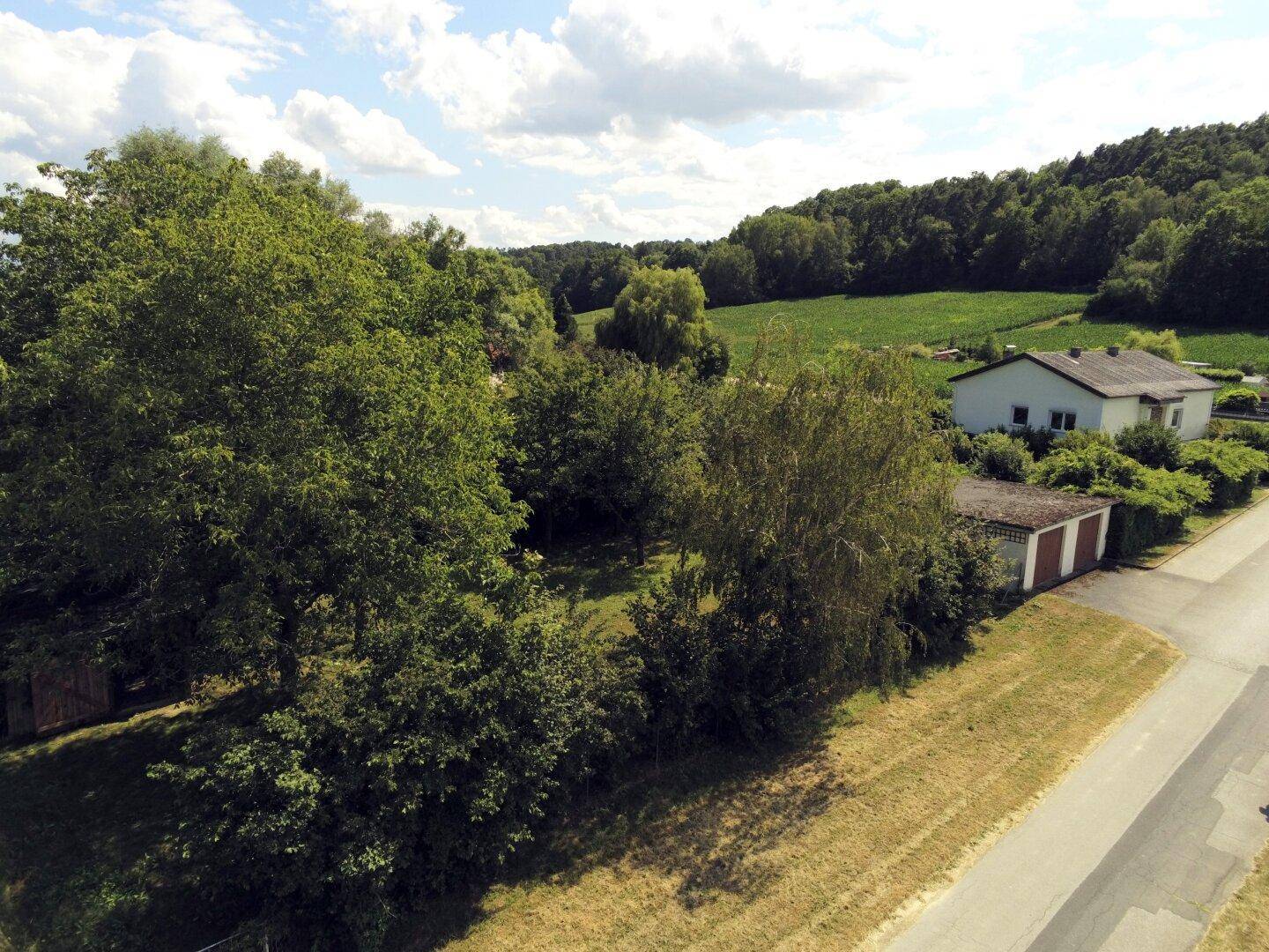 Großer Gartenbereich mit altem Baumbestand, angrenzender Garage und Blick auf das Haus.
