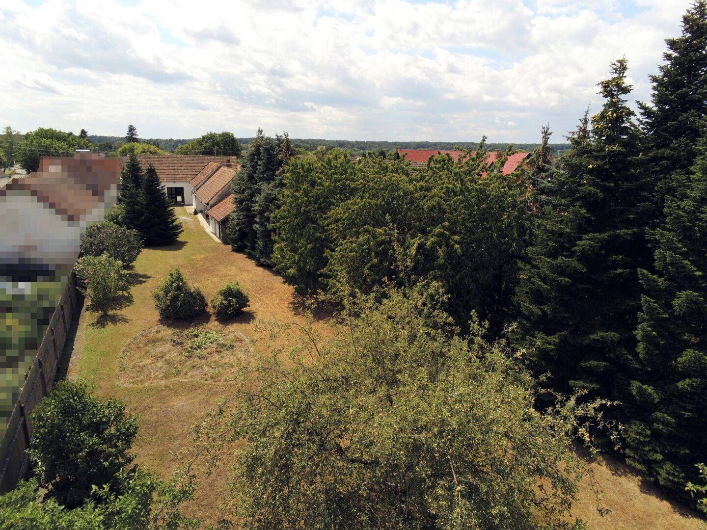 Weitläufiger Gartenbereich mit Rasenflächen und altem Baumbestand, umgeben von ländlicher Natur.