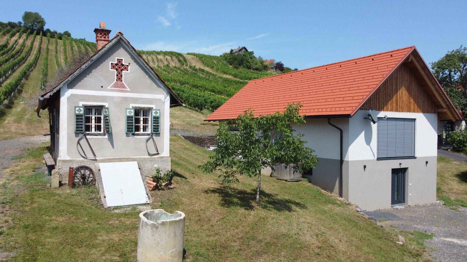 Zwei Häuser, ein traditionelles und ein modernes, eingebettet in eine malerische Weinbergslandschaft.