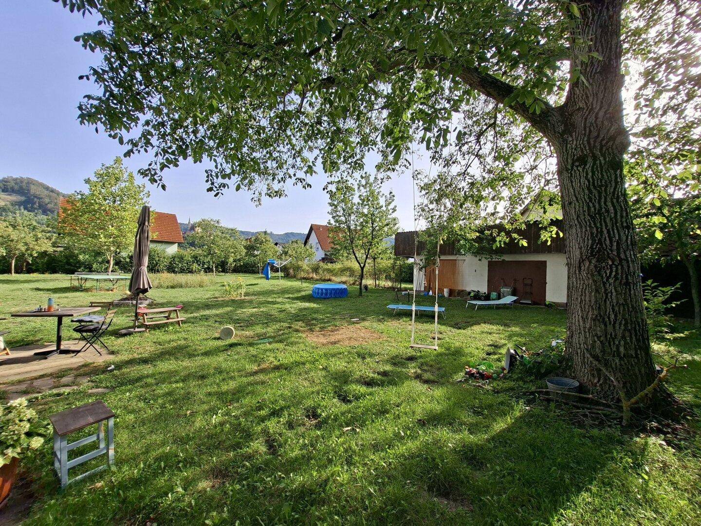 Großer Garten mit altem Baum, Schaukel, Außensitzbereich und einem kleinen Pool im ländlichen Umfeld.