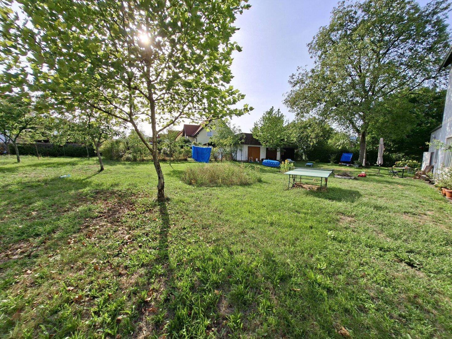 Weitläufiger grüner Garten mit vielen Bäumen, Rasenfläche und einem kleinen aufblasbaren Pool im Hintergrund.
