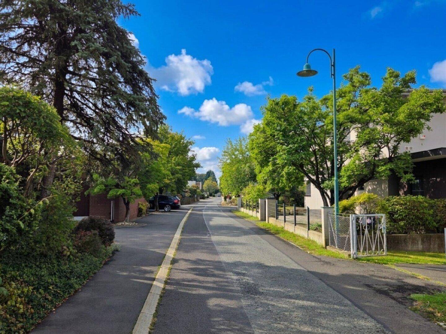 Ruhige Wohnstraße mit Bäumen und gepflegten Häusern in der Nachbarschaft.