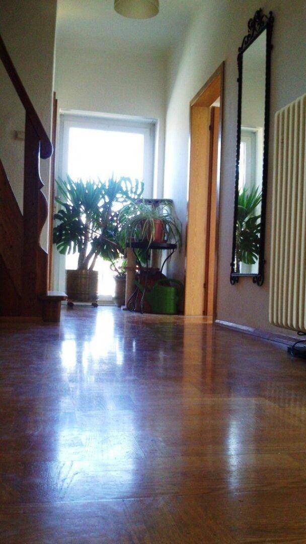 Heller Flur mit Holzparkett, großen Pflanzen vor dem Fenster und einem dekorativen Wandspiegel.