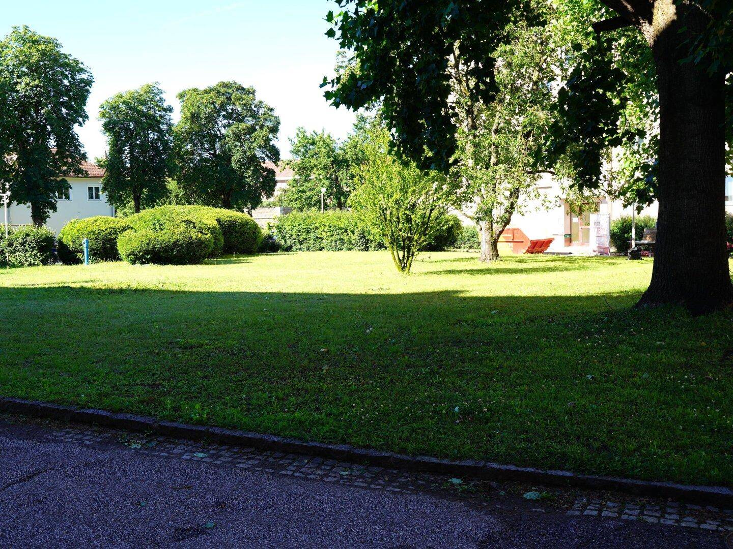 Weitläufige Rasenfläche mit Bäumen und Büschen in einer ruhigen Umgebung.