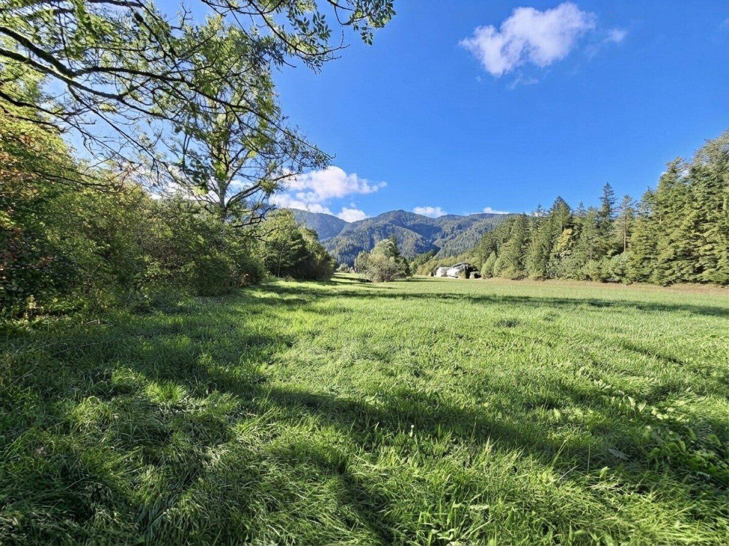 Weitläufige grüne Wiesenlandschaft mit Bergen im Hintergrund unter blauem Himmel.