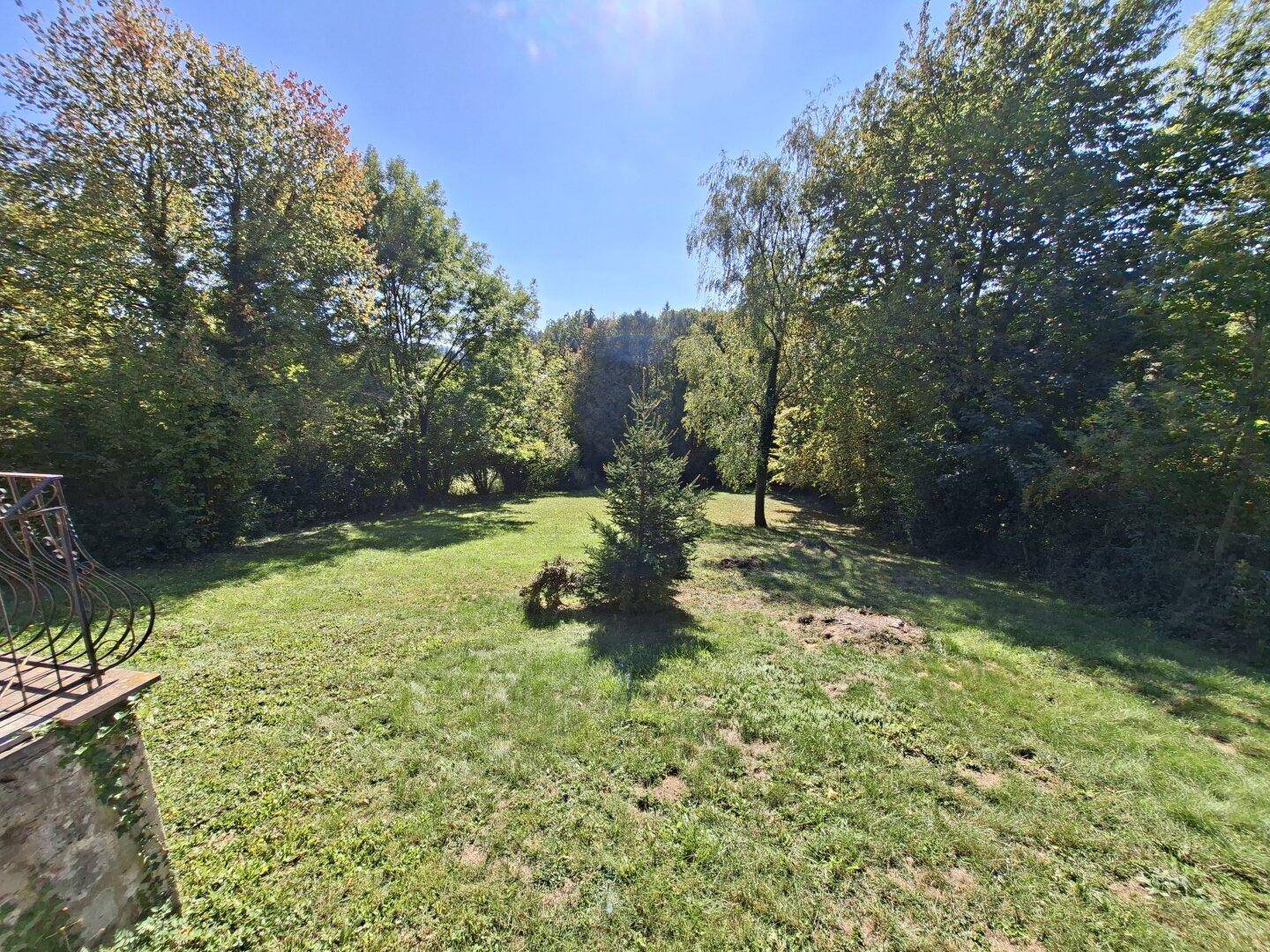 Weitläufige grüne Rasenfläche mit Bäumen und viel Sonnenlicht, umgeben von üppiger Natur.