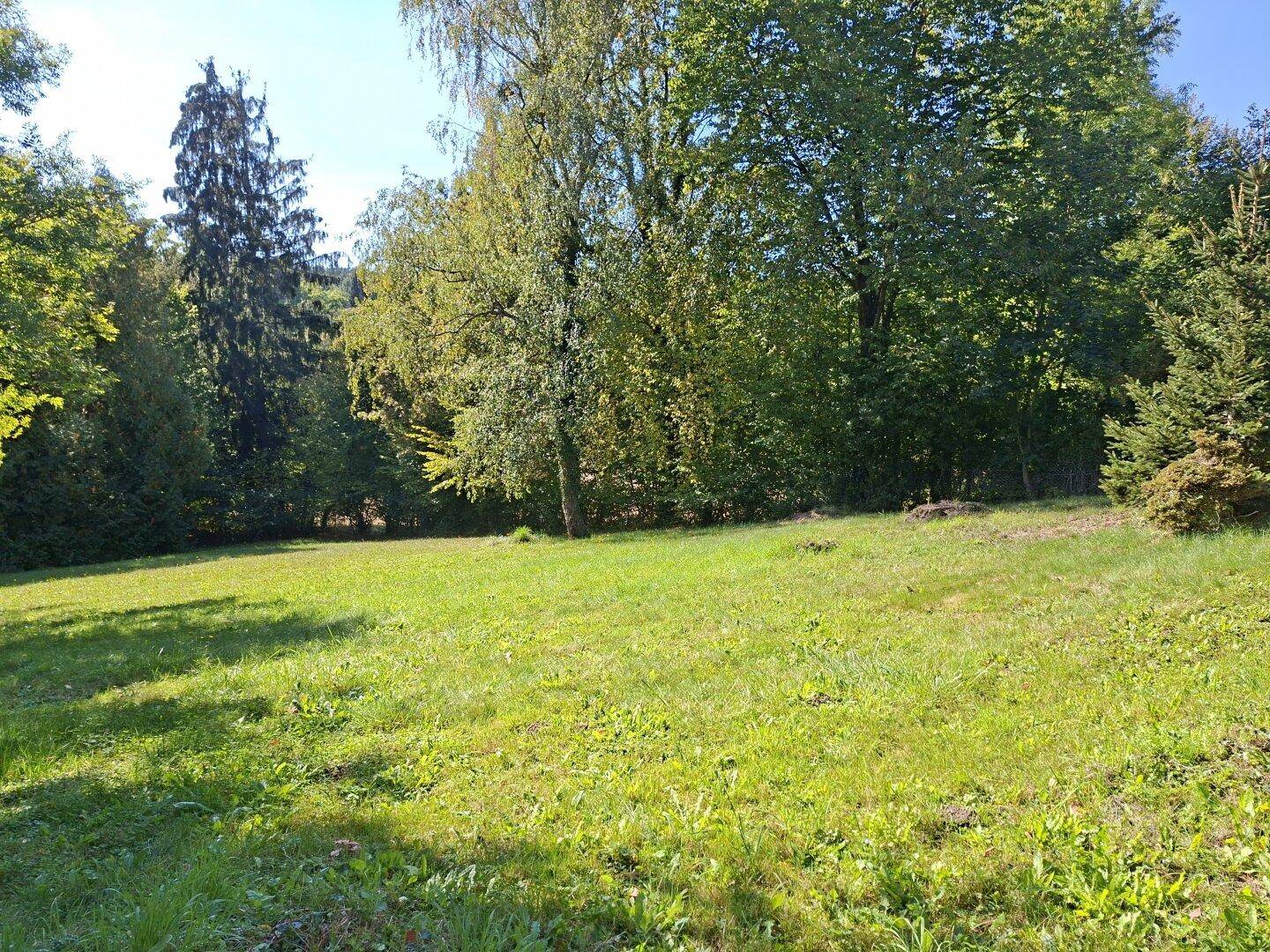 Weitläufige grüne Rasenfläche mit verschiedenen Bäumen unter strahlend blauem Himmel.