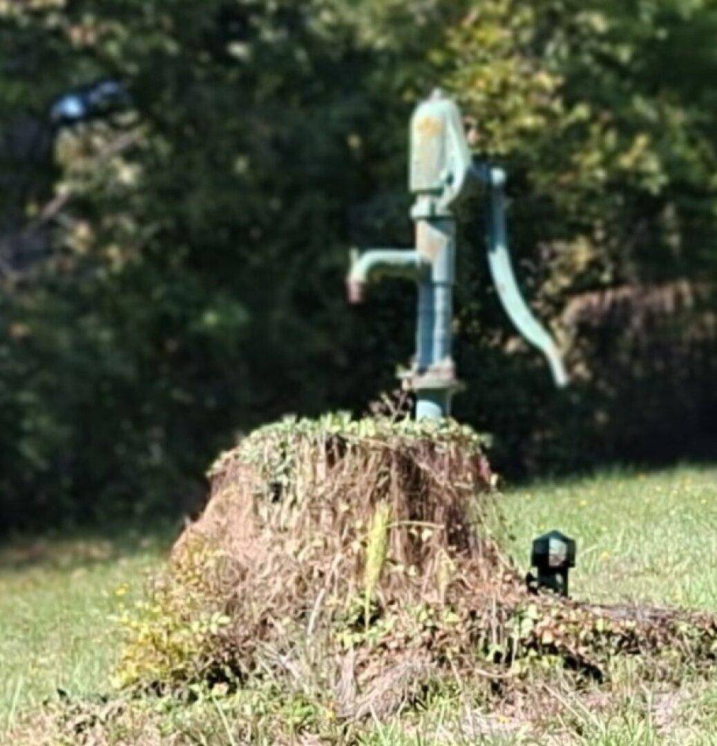 Eine alte, rustikale Wasserpumpe auf einem Baumstumpf in einem grünen Gartenbereich.