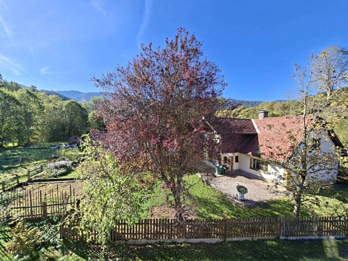 Idyllisches Haus mit großem Garten und altem Baum, umgeben von grüner Landschaft.