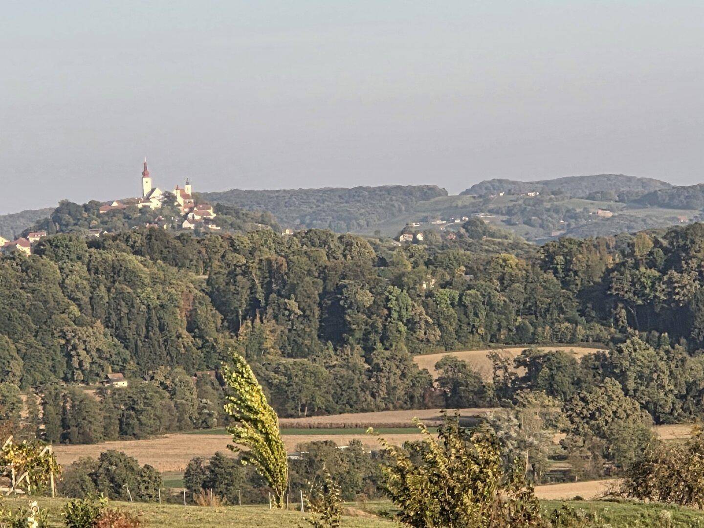 Malerischer Blick auf eine historische Ortschaft auf einem Hügel, umgeben von Wäldern.