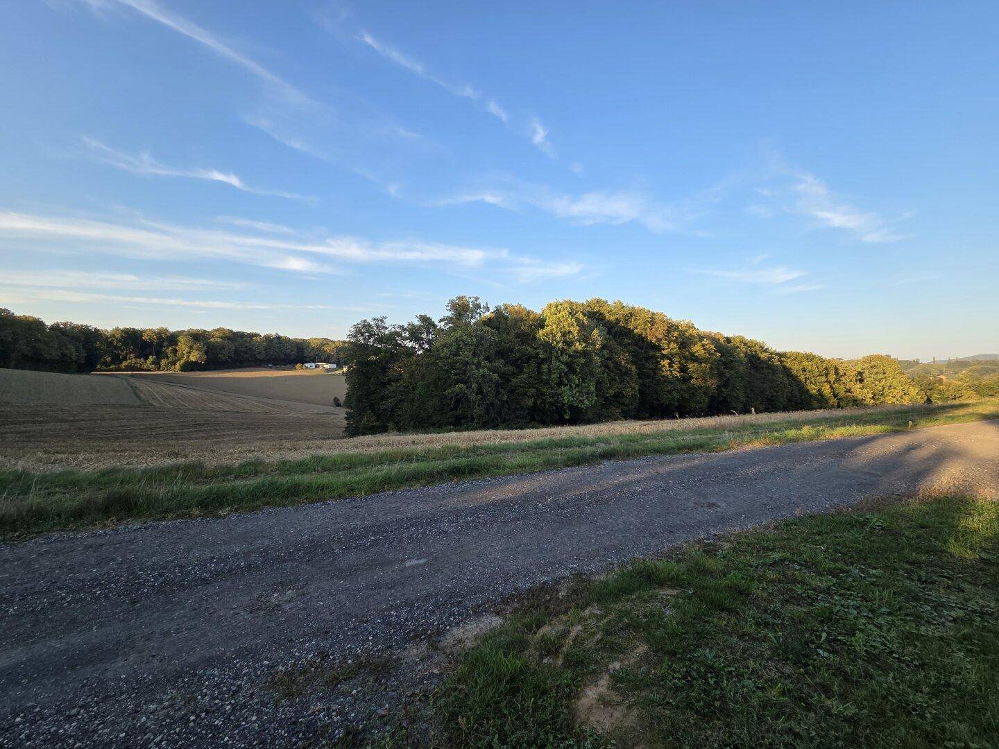 Ländliche Szenerie mit einem Feldweg, umgeben von weiten Feldern und dichten Wäldern.