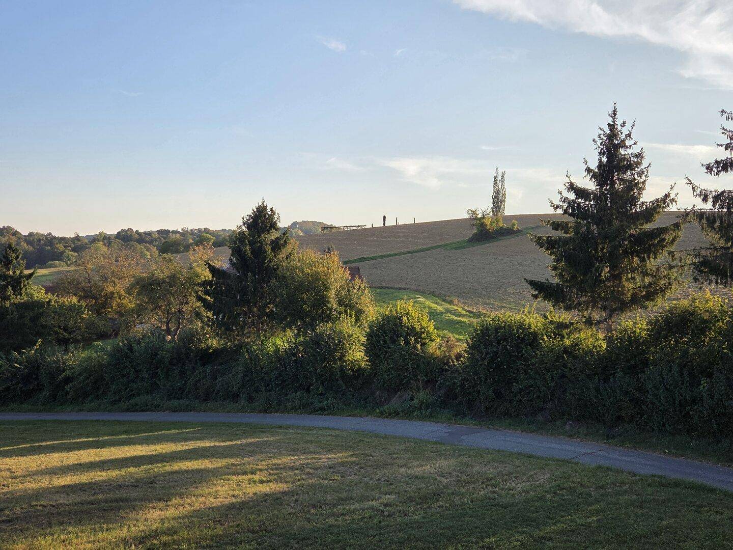 Weitläufige Landschaft mit Feldern und Bäumen unter einem klaren Himmel.