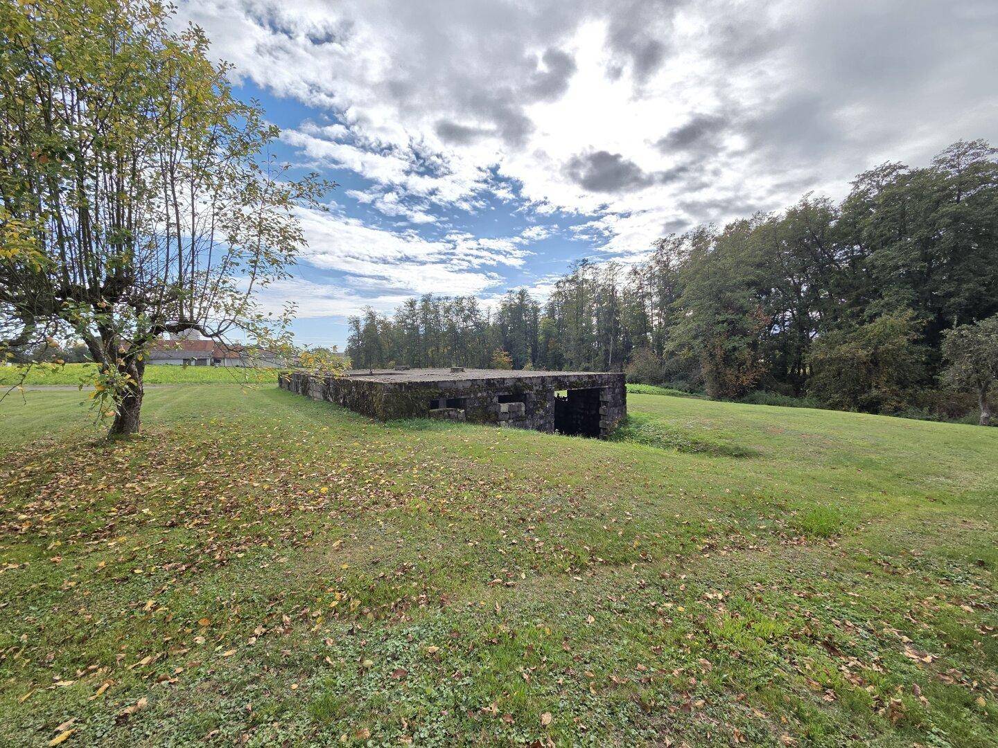 Betongebäude auf einer grünen Wiese mit Bäumen im Hintergrund unter blauem Himmel.