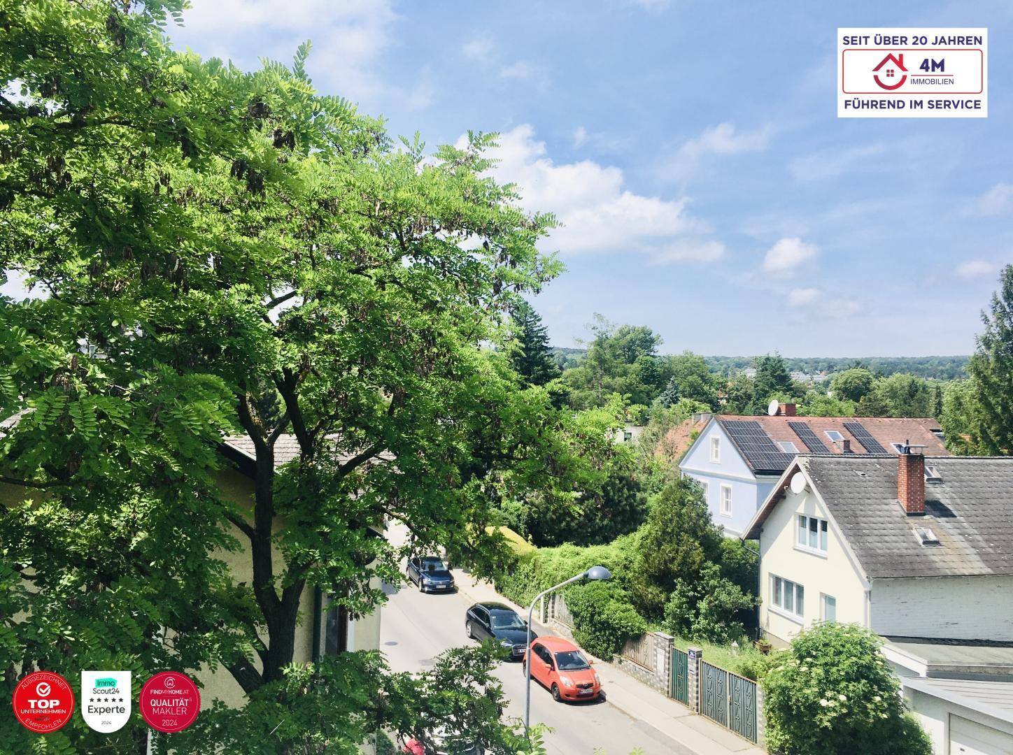 im Hintergrund: Lainzer Tiergarten