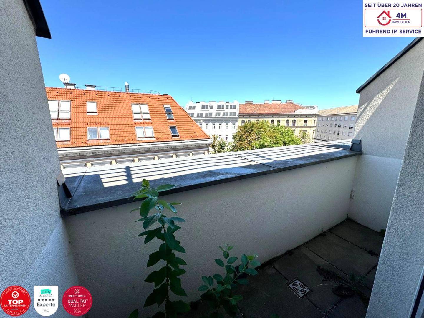 Freifläche
