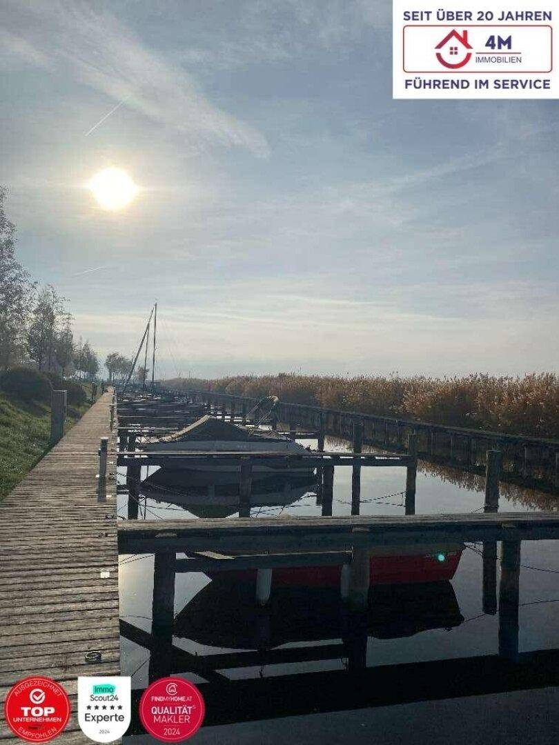 Sonniger Blick auf einen Bootssteg mit mehreren Booten und Schilf am Ufer.