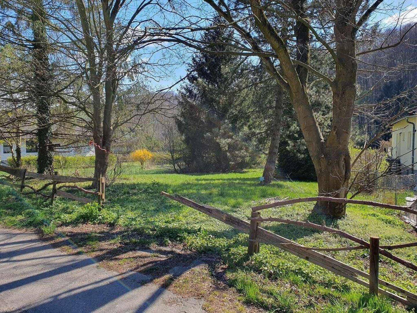 Gartenfläche mit rustikalem Holzzaun und Zugang zu einer kleinen Zufahrtsstraße.