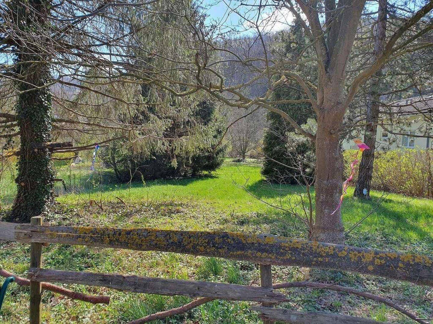 Weitläufiger Garten mit altem Baumbestand und Blick auf die umliegende Landschaft.
