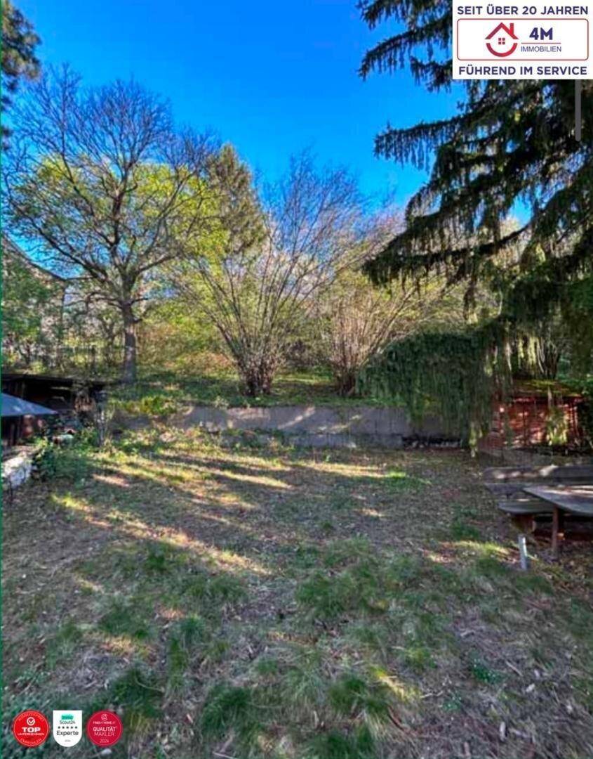 Großer, naturbelassener Gartenbereich mit Rasenfläche, Bäumen und Sträuchern.