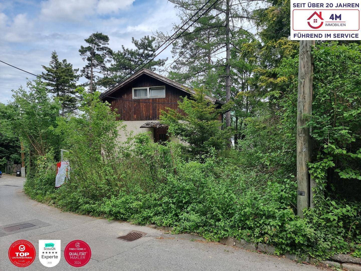 Das Haus mit Holzverkleidung und Satteldach, eingebettet in eine grüne, bewachsene Umgebung.