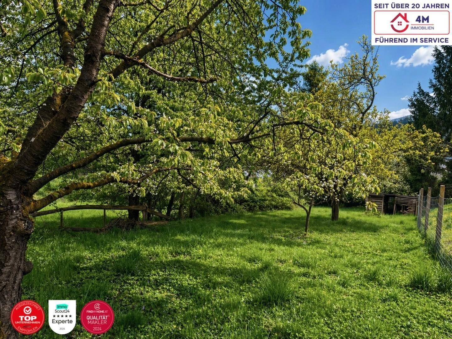 Großer grüner Gartenbereich mit alten Bäumen und viel Rasenfläche unter blauem Himmel.