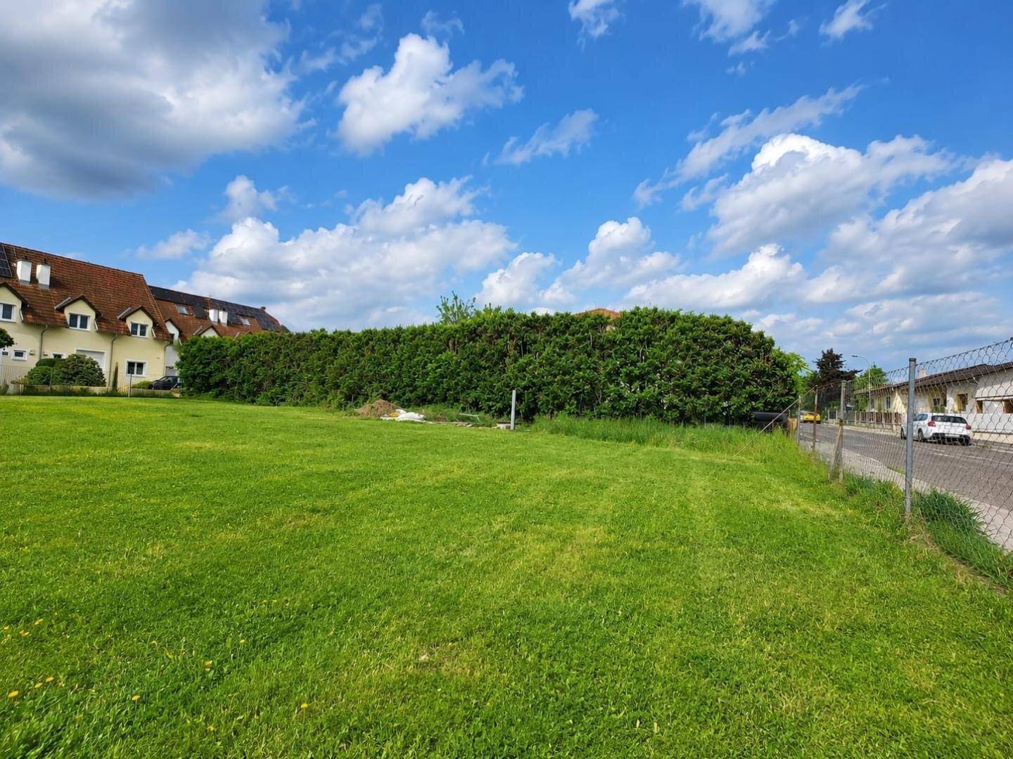 Weitläufige Rasenfläche mit dichter Hecke und angrenzender Straße in Wohngegend.