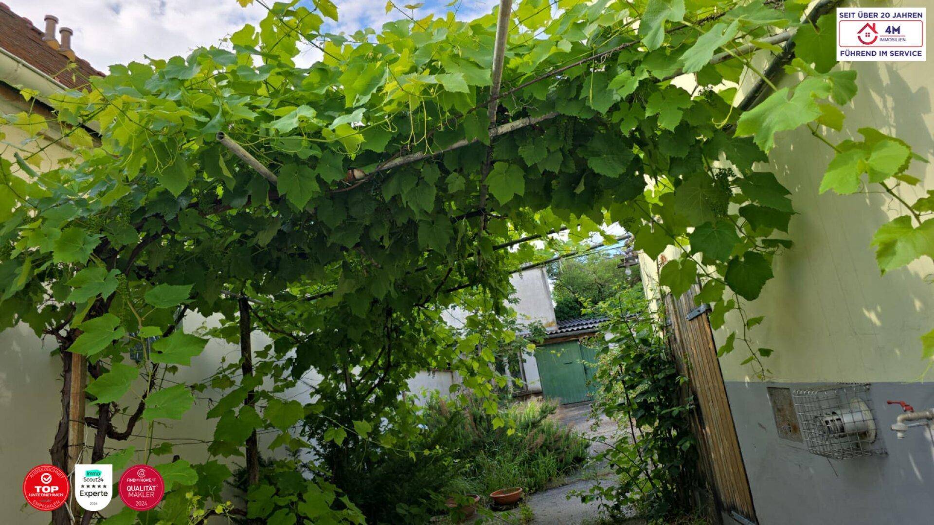 Ein von Weinreben überwachsener Bereich im Garten, der Schatten spendet und eine natürliche Atmosphäre schafft.