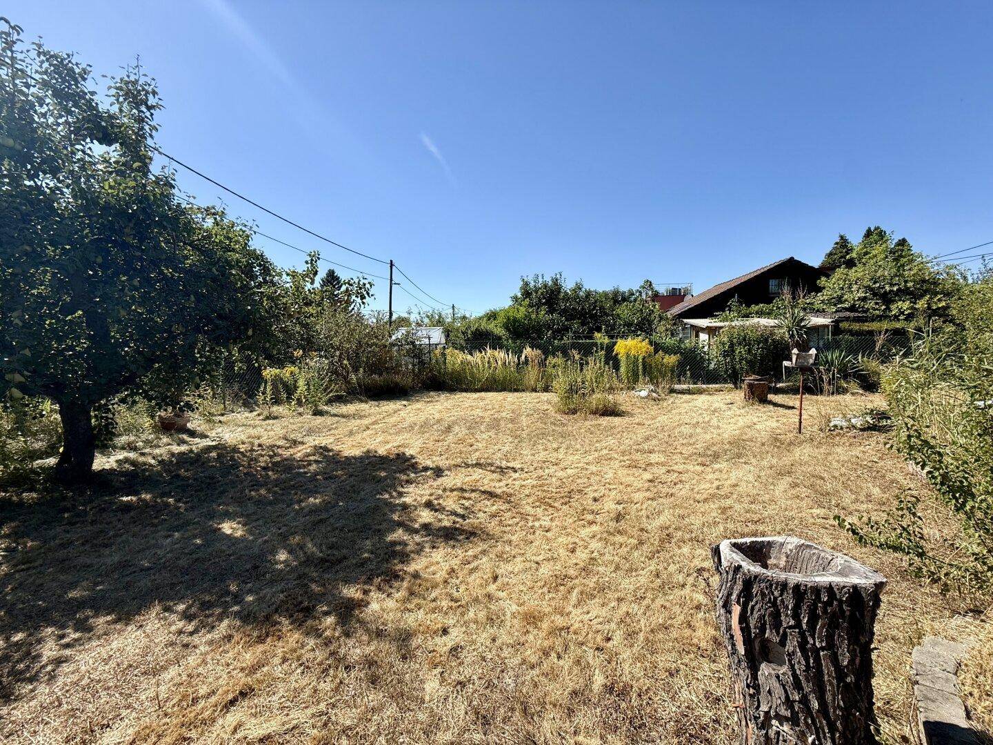 Großer, sonniger Garten mit Rasenfläche und Obstbäumen unter einem klaren, blauen Himmel.