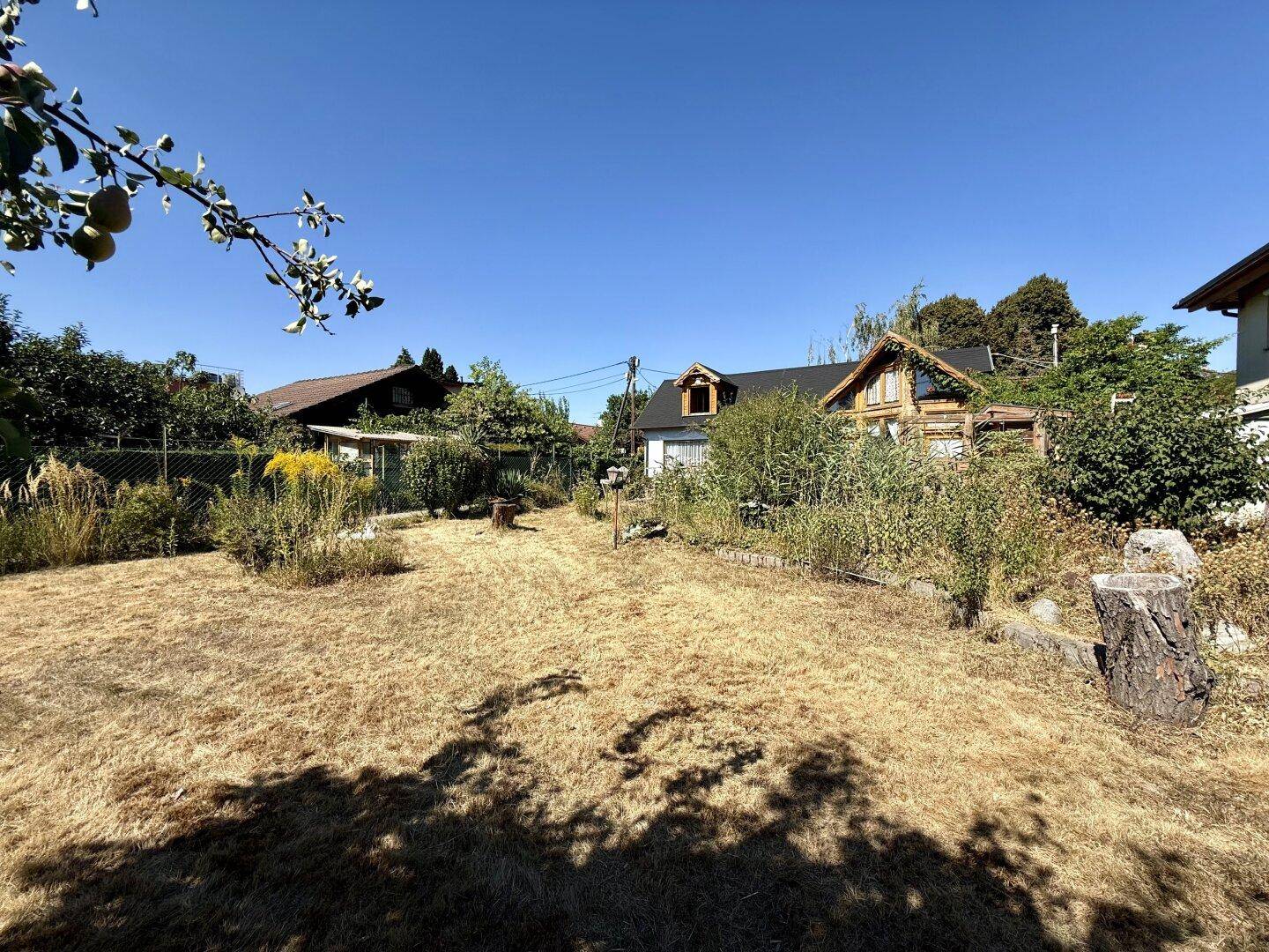 Weitläufiger Garten mit Rasen, Bäumen und Blick auf das charmante Haus im Hintergrund.