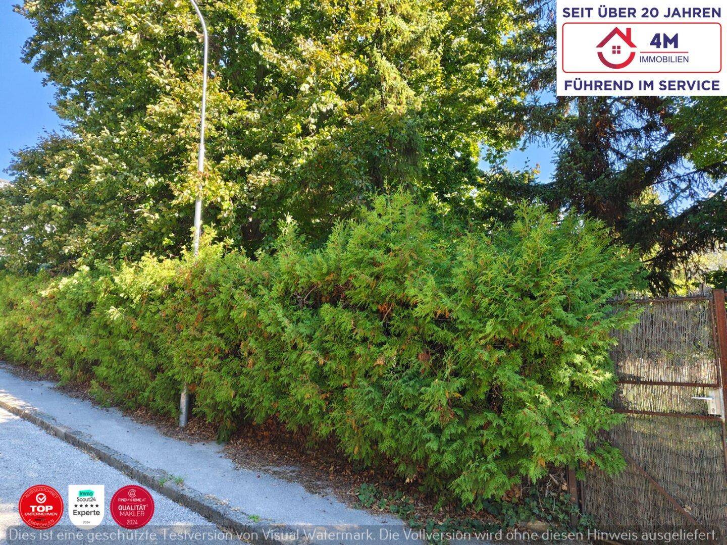 Straße mit einer hohen Hecke, die das Grundstück von der Umgebung abgrenzt.