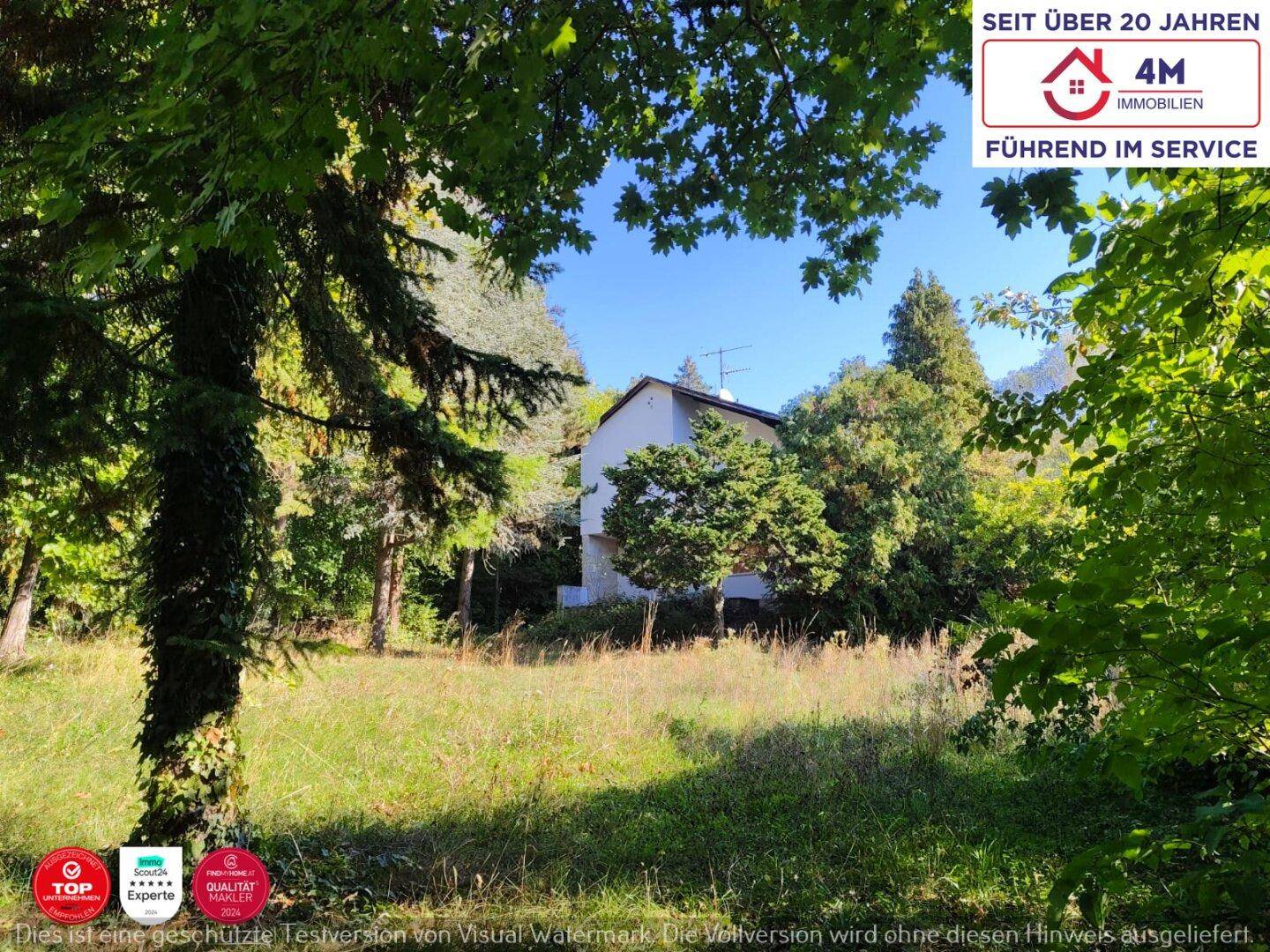 Weitläufiger, sonniger Garten mit viel Grün und dem Haus im Hintergrund.