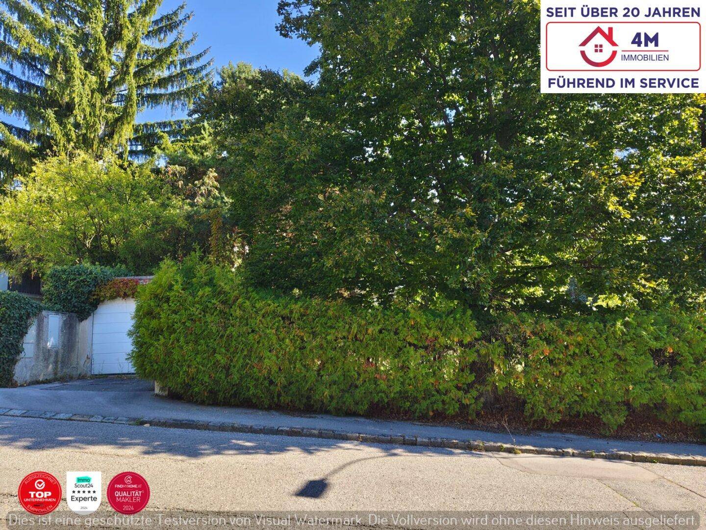 Eine ruhige Wohnstraße mit viel Grün, Bäumen und einer Hecke vor einem Gebäude.