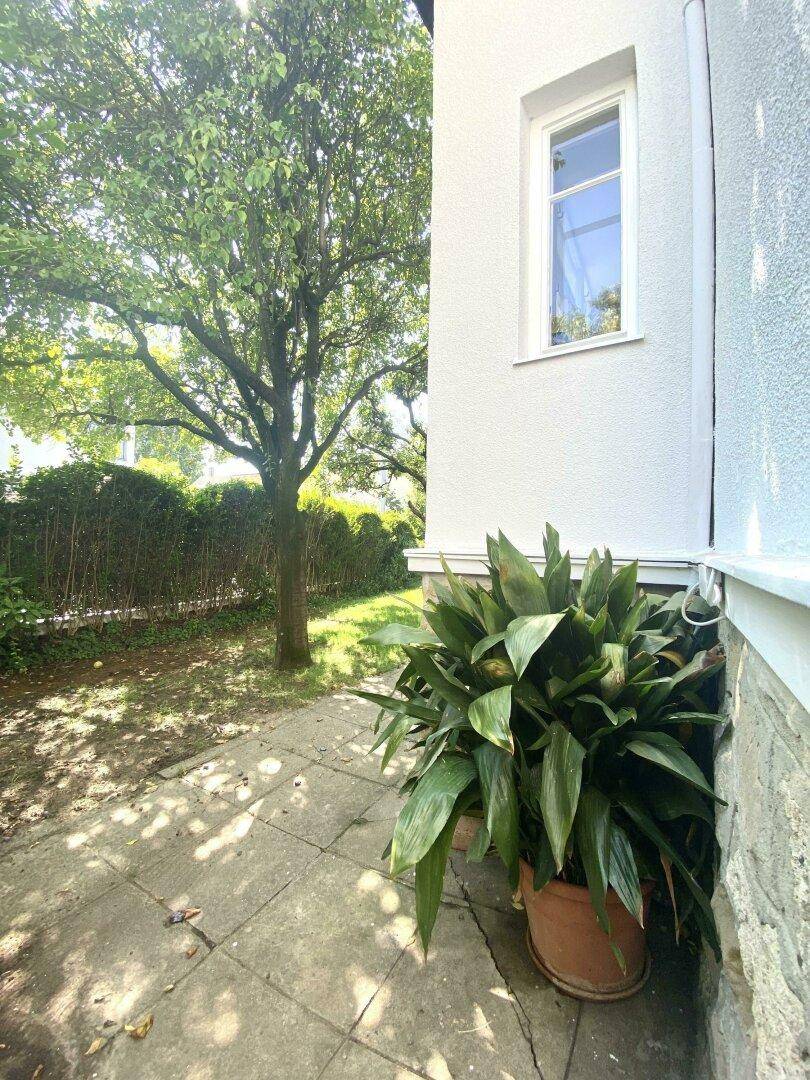 Seitenansicht des Hauses mit einem gepflasterten Weg, Topfpflanzen und einem schattenspendenden Baum.